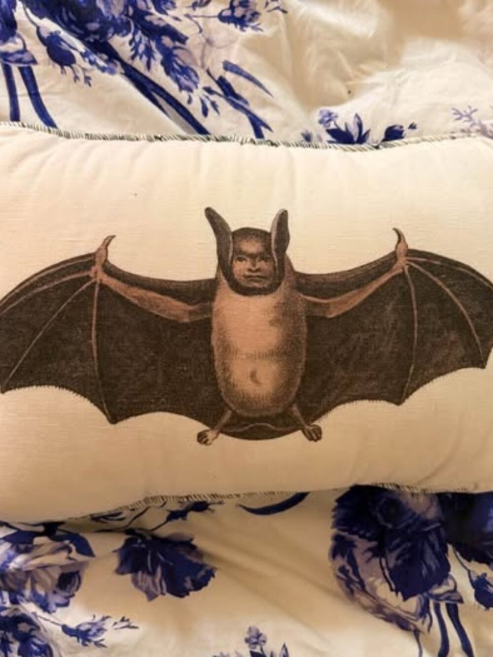 John Derian for Target x Threshold Bat Pillow